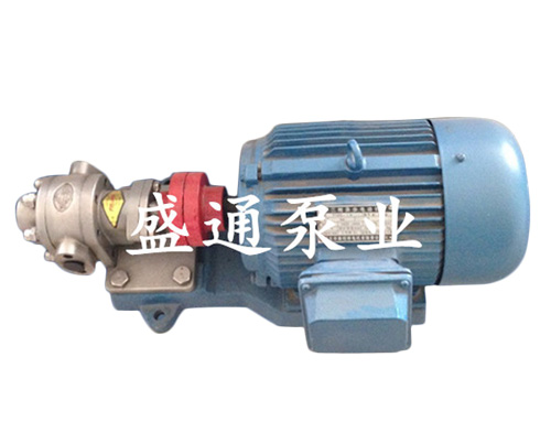 盛通泵业优质不锈钢齿轮泵制造